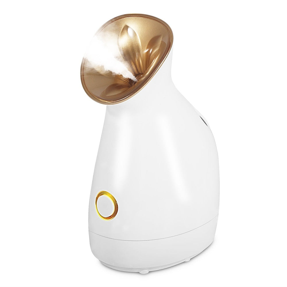 Nano Steamer Vaporizer for Face